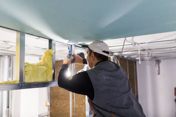 Best Insulation Materials and Products in Santa Rita Ranch, TX