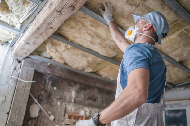 Best Types of Insulation in Santa Rita Ranch, TX