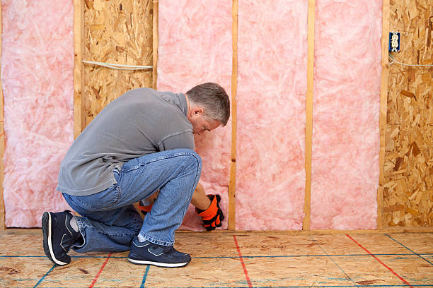 Best Commercial Insulation in Santa Rita Ranch, TX